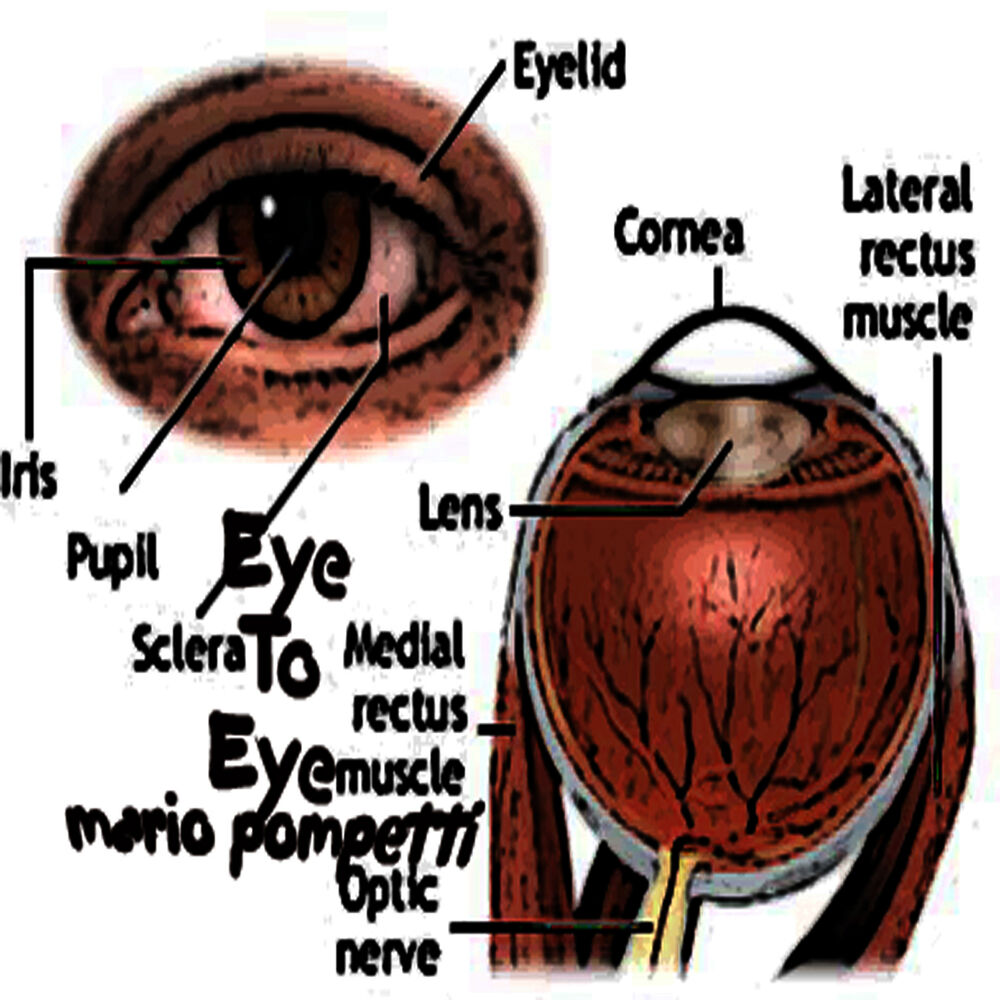 Picture of Eye To Eye I Love You