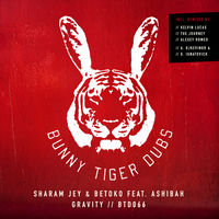 Sharam Jey - Gravity: lyrics and songs | Deezer