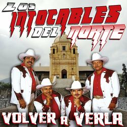 Cover of Volver a Verla