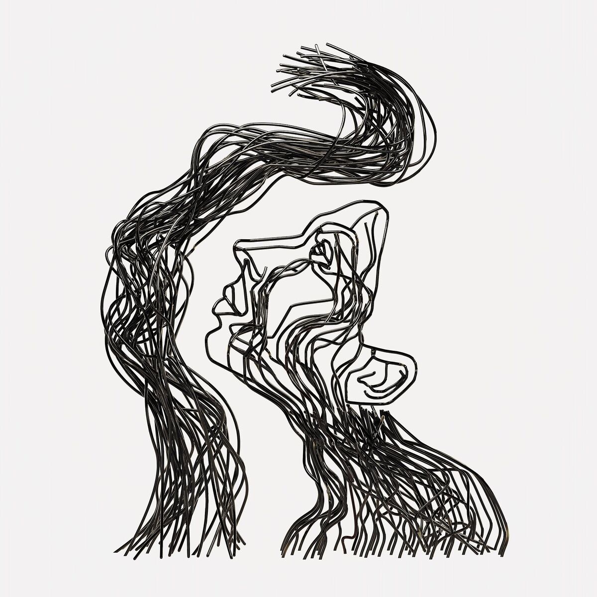 Album cover of For the Birds