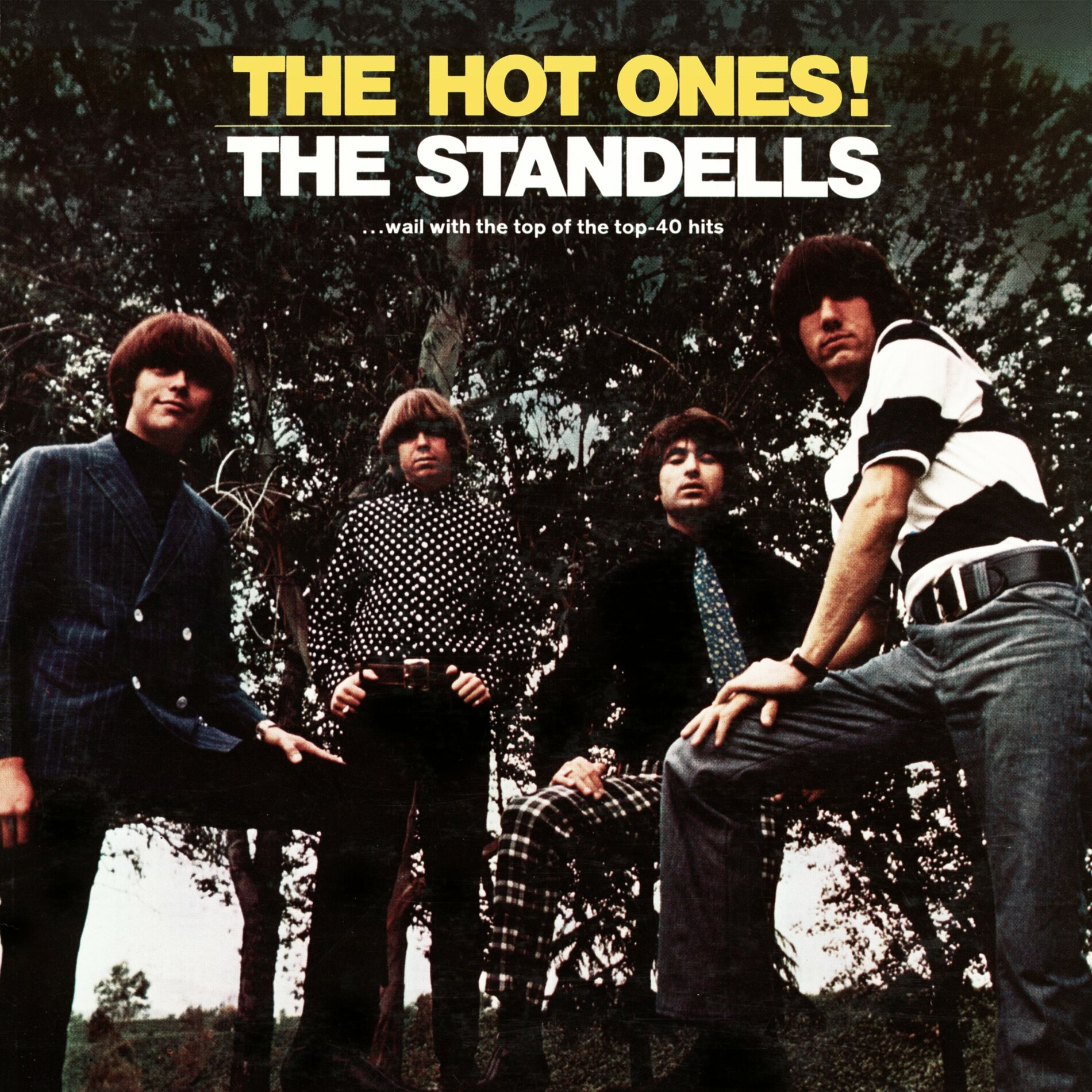 Album cover of The Hot Ones!