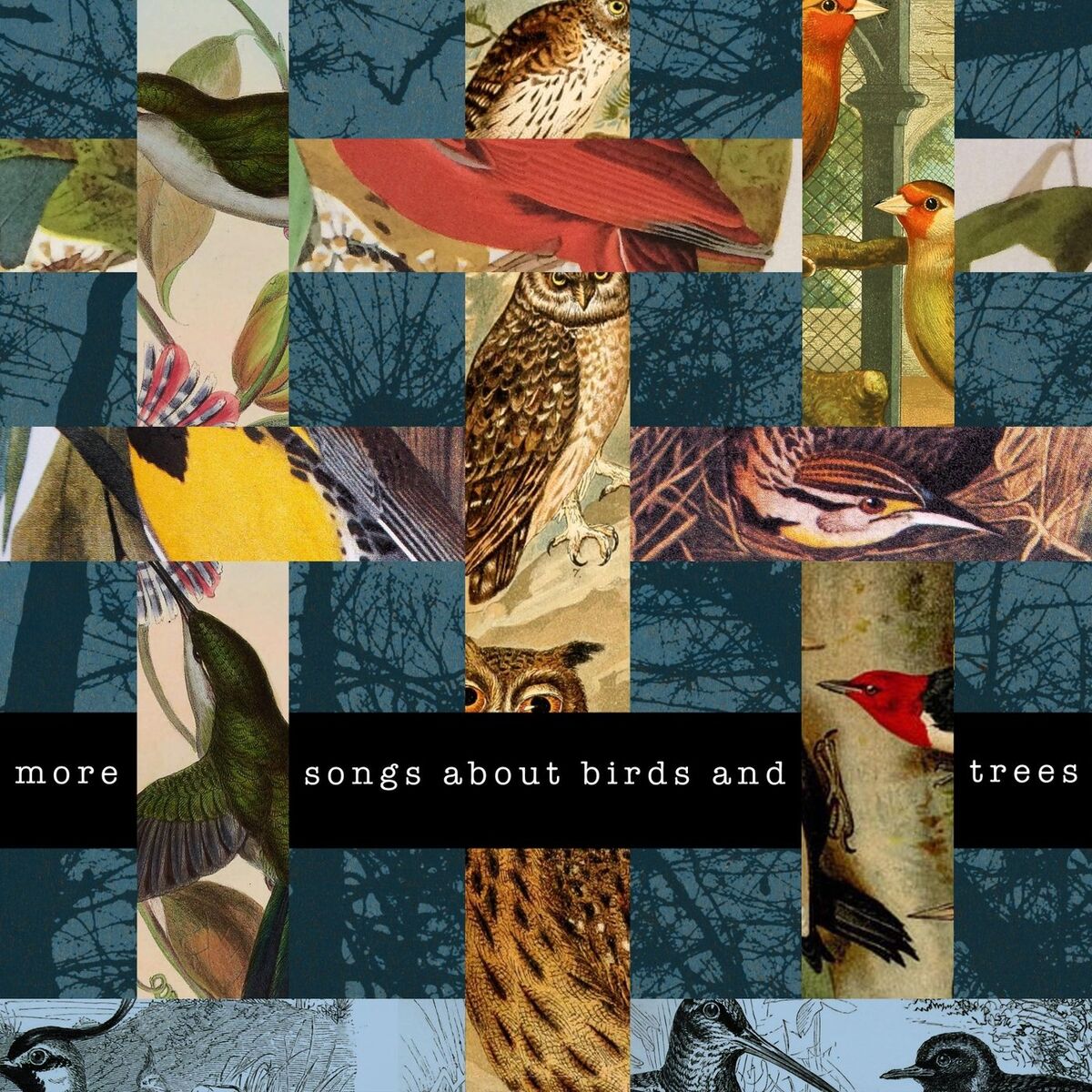 Album cover of More Songs About Birds and Trees