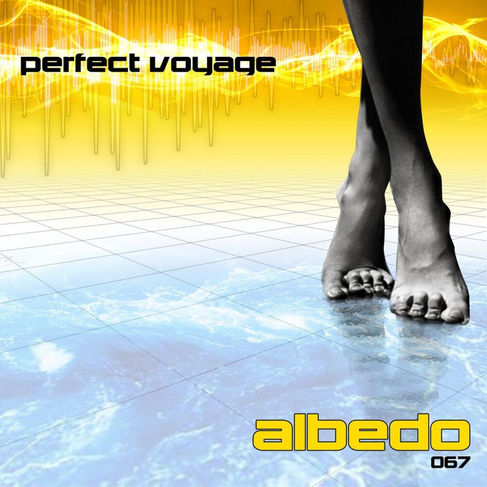 Picture of Perfect Voyage