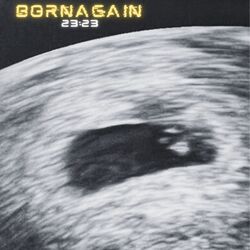Cover of Born Again