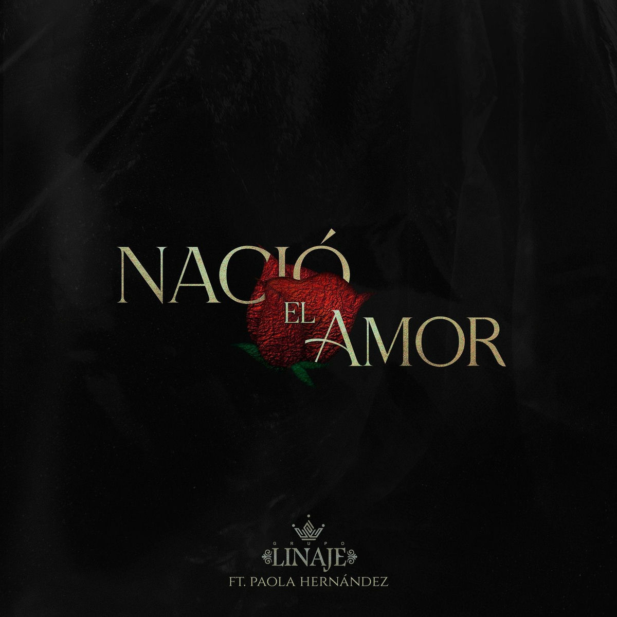 Album cover of Nació el Amor