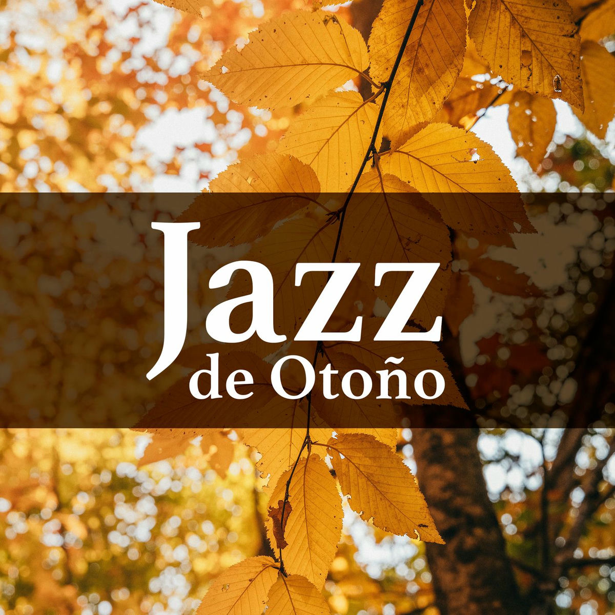 Album cover of Jazz de Otoño