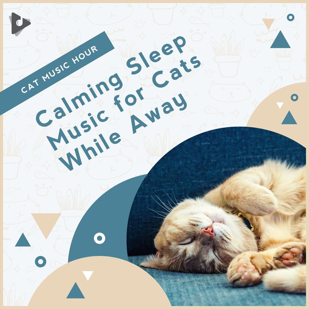 Picture of Calming Sleep Music for Cats While Away
