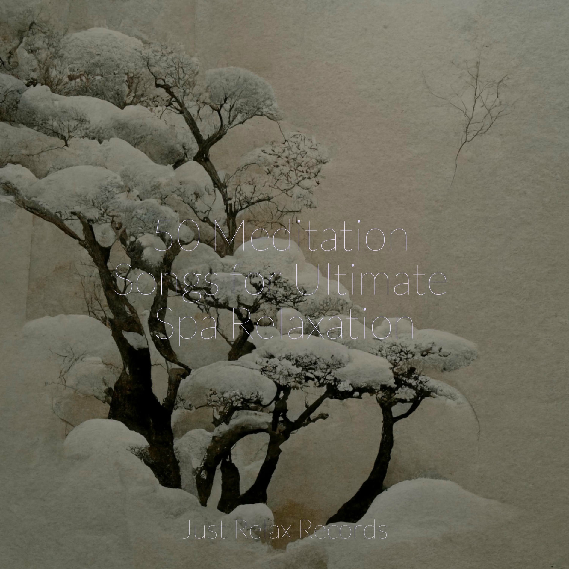 Album cover of 50 Meditation Songs for Ultimate Spa Relaxation