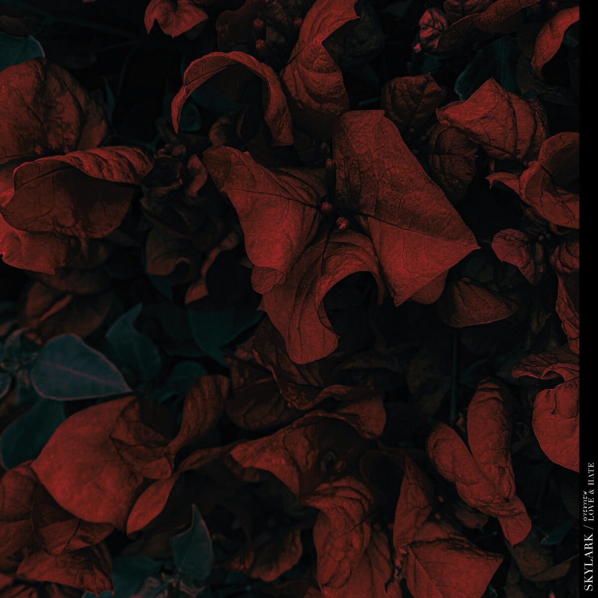 Album cover of Love & Hate EP