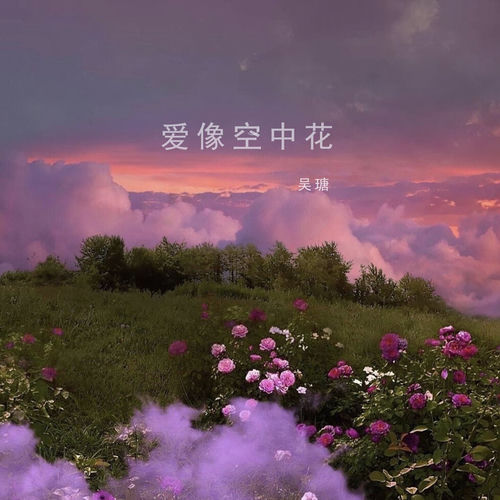 爱像空中花