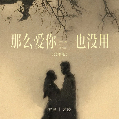 那么爱你也没用 (合唱版)