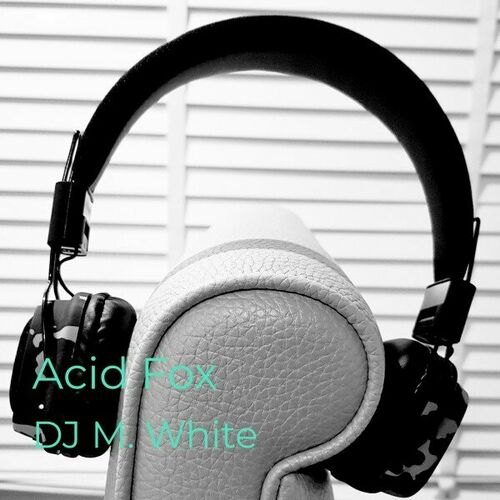  DJ M. White - Acid Fox (2024) 