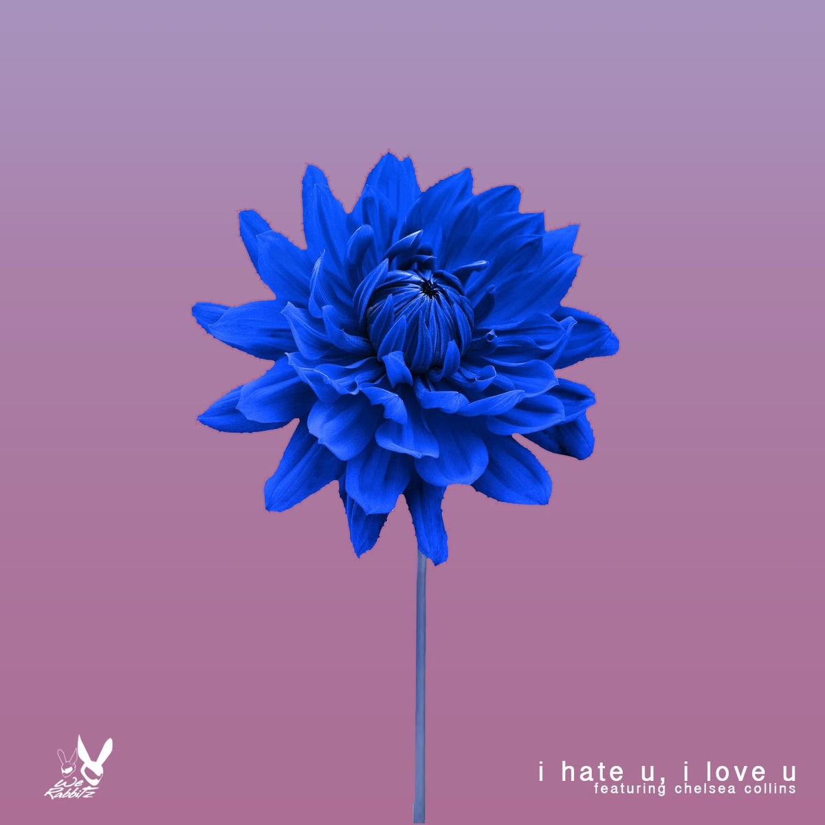 Album cover of I Hate U, I Love U