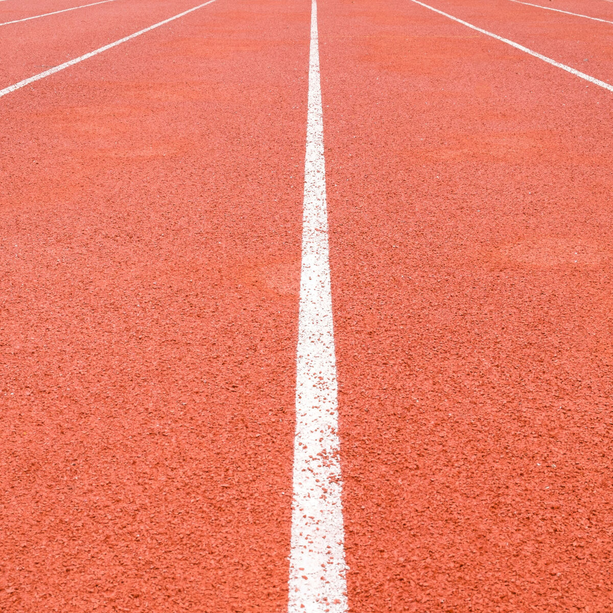 Album cover of Run the Race