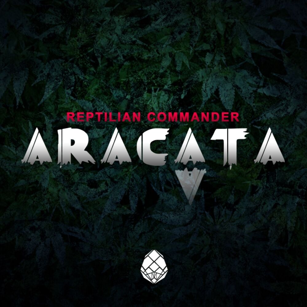 Picture of Aracata