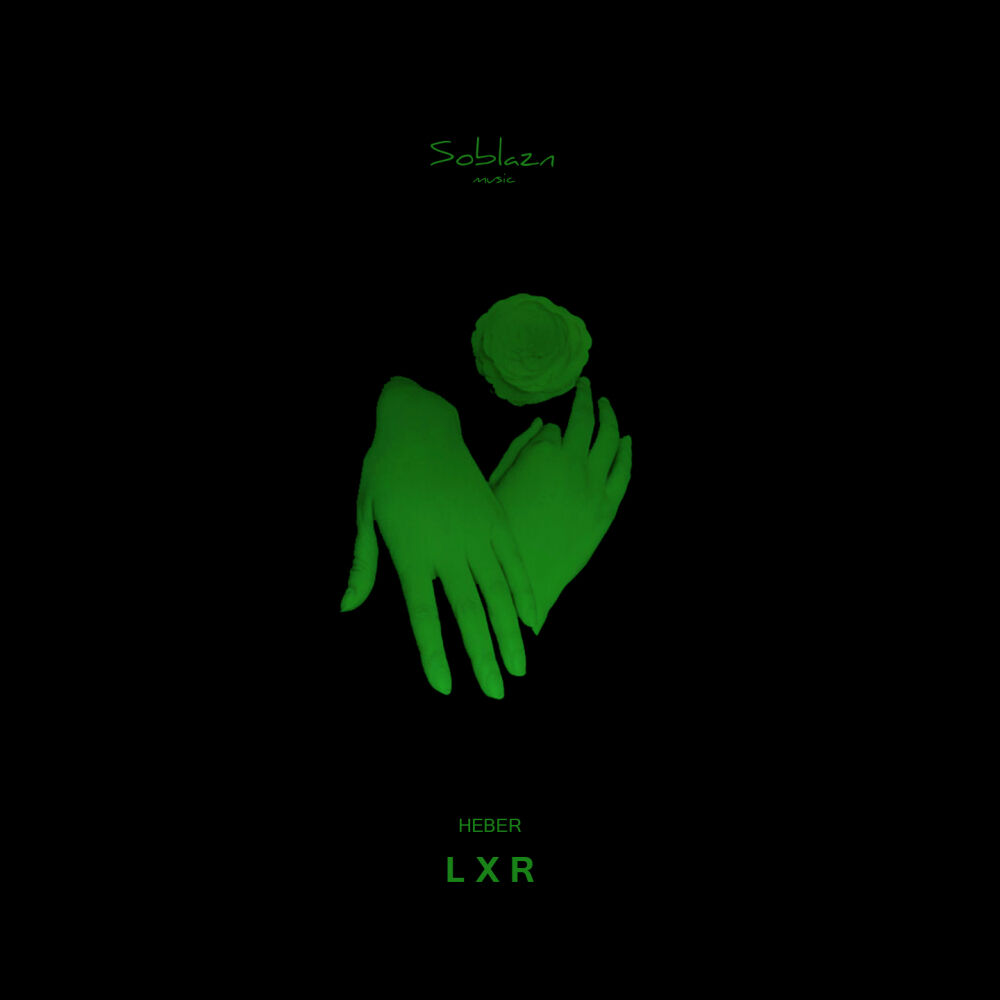 Picture of L X R
