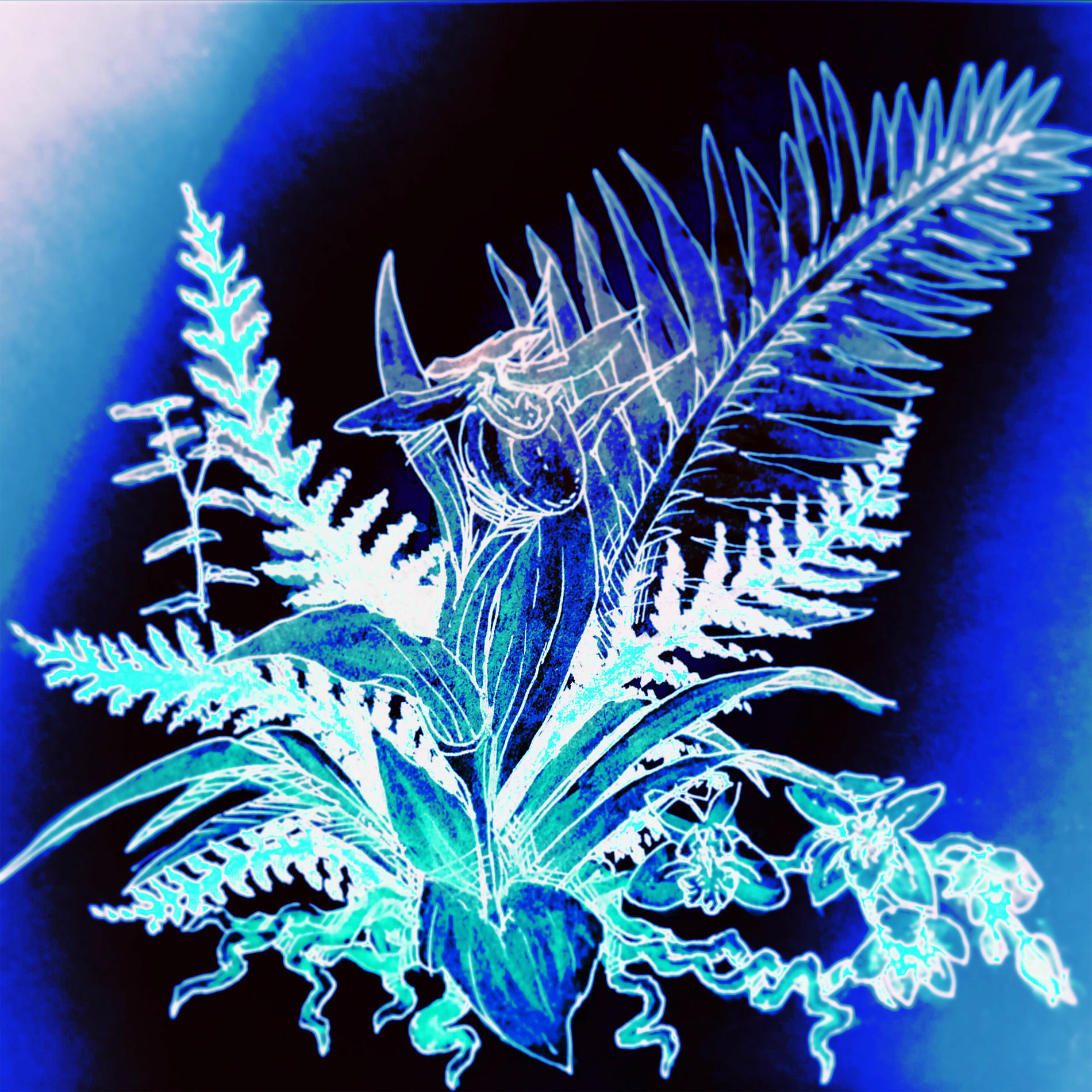 Album cover of orchids (playlist version)