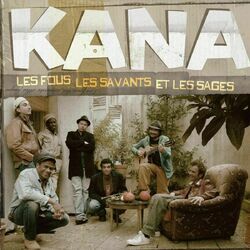 Cover of Les fous, les savants et les sages