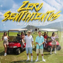 Cover of Zero Sentimientos