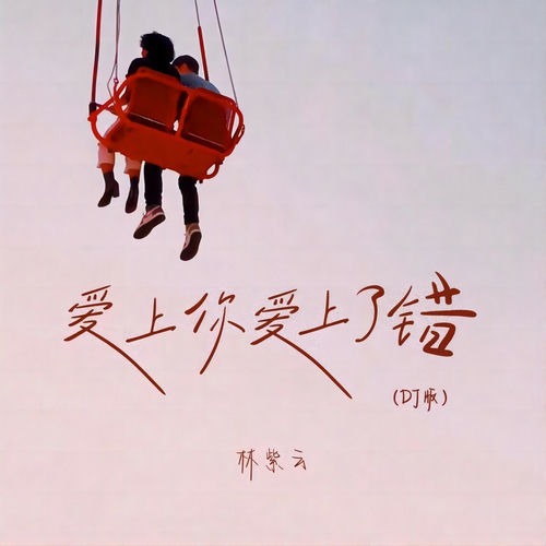 爱上你爱上了错 (DJ版)