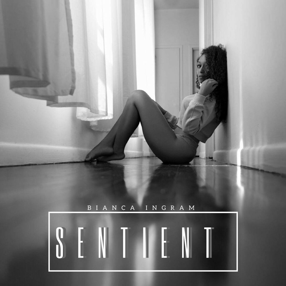 Album cover of Sentient