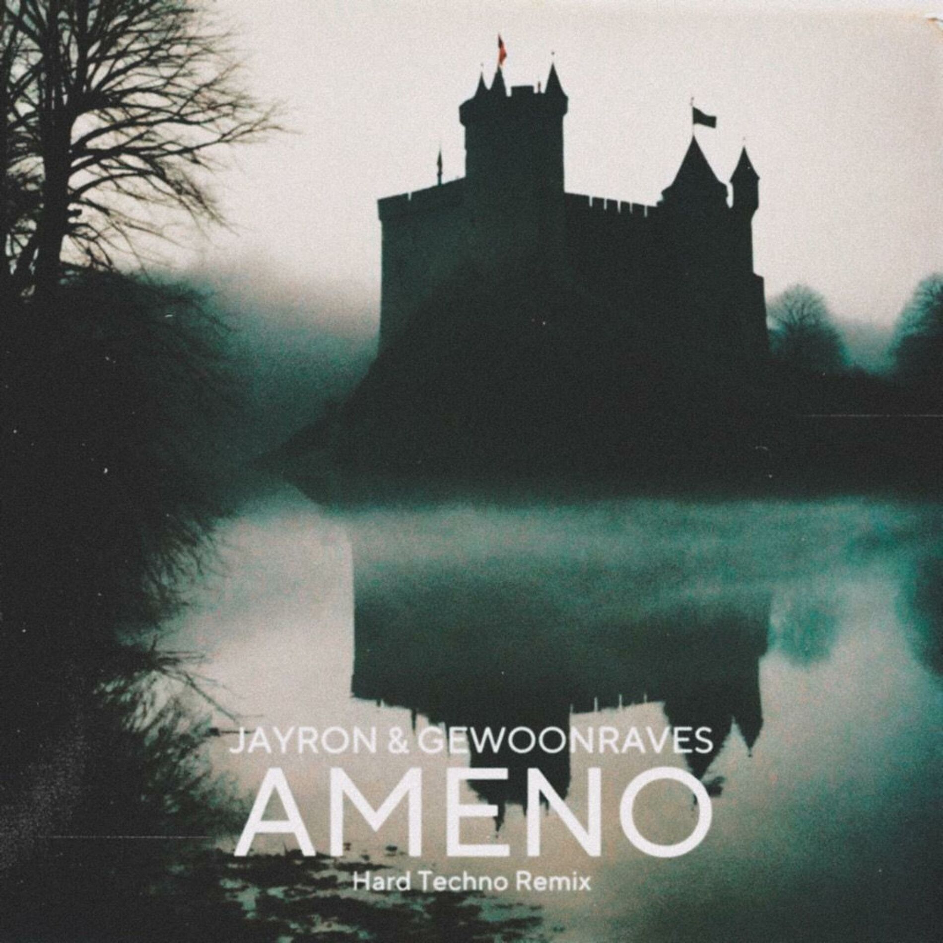 Album cover of Ameno (Hard Techno Remix)