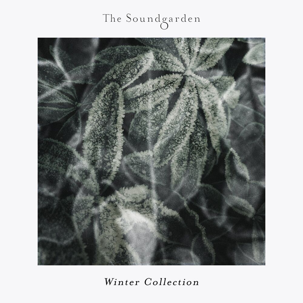 Picture of Winter Collection