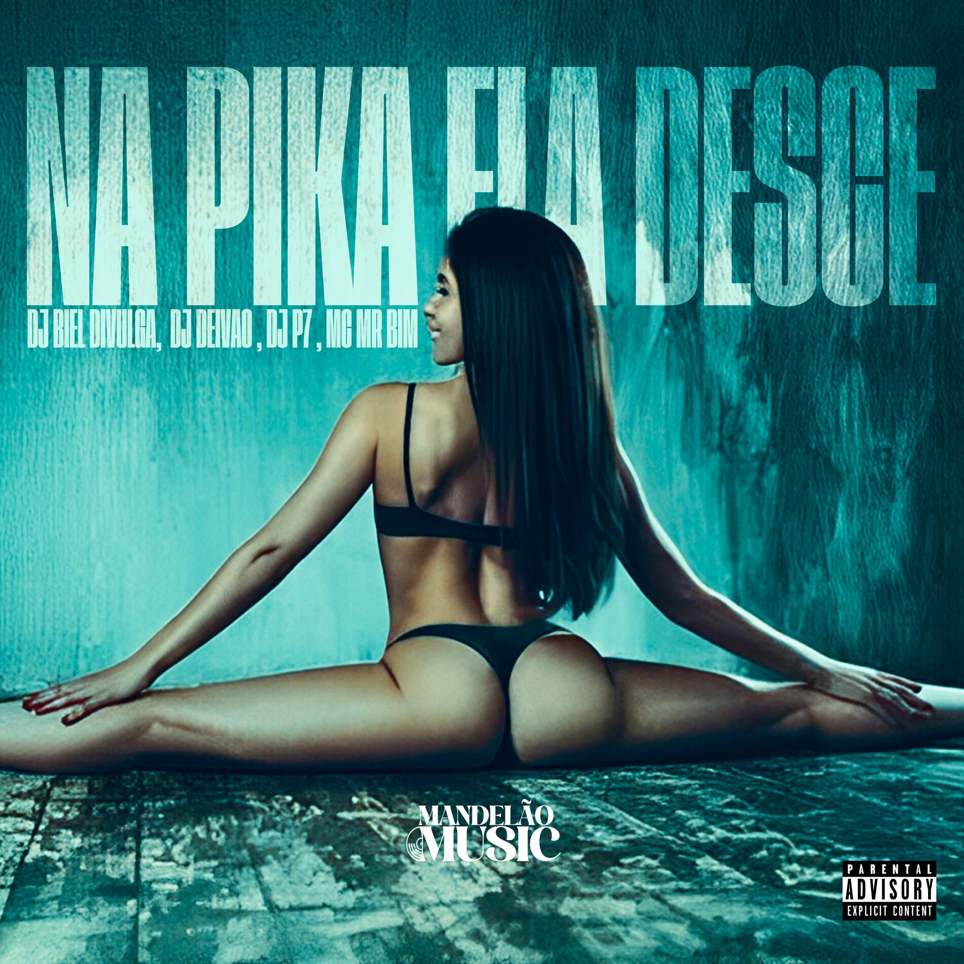 Album cover of Na Pika Ela Desce