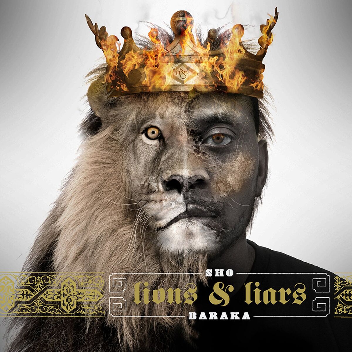 Album cover of Shut Us Down