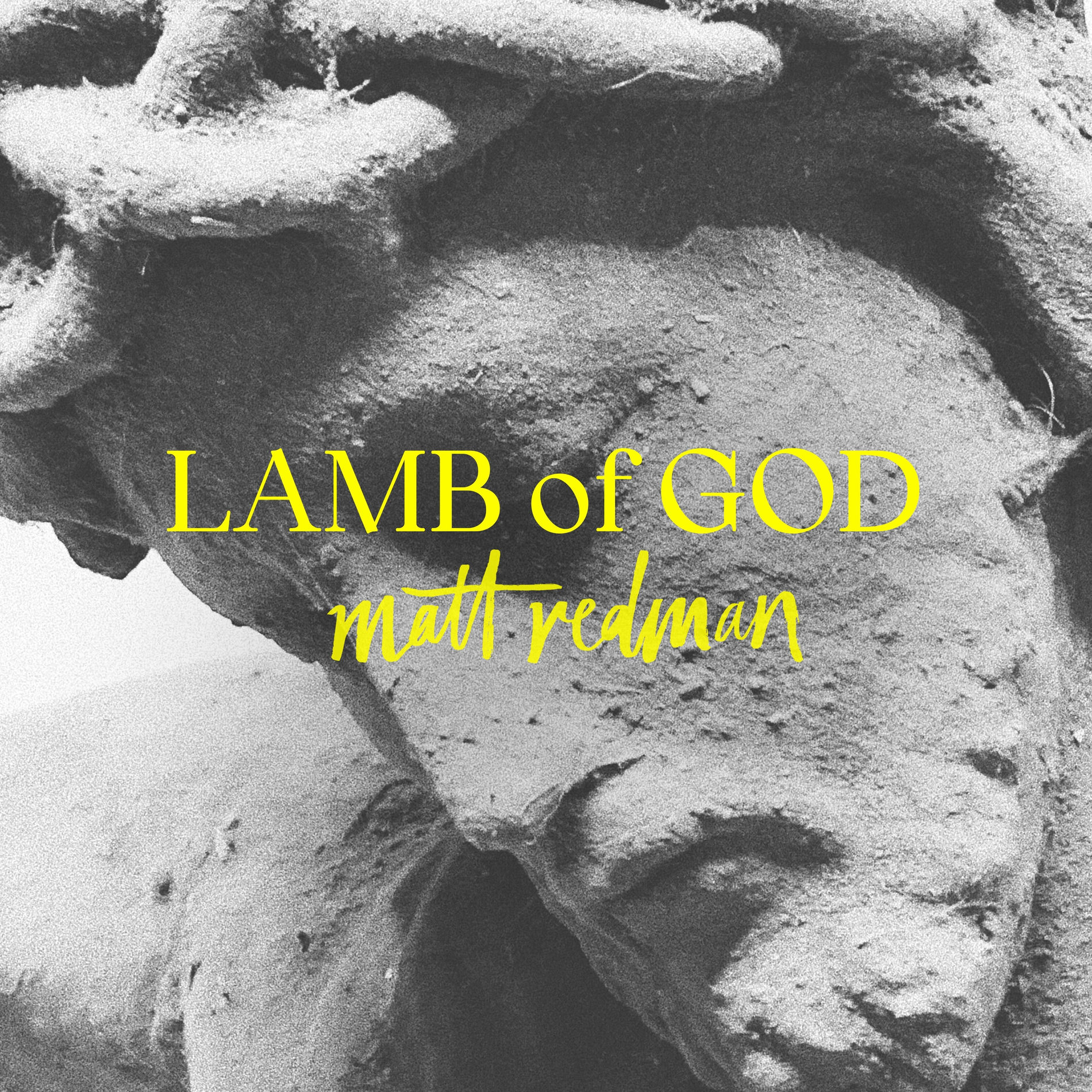 Album cover of The Praise is Yours