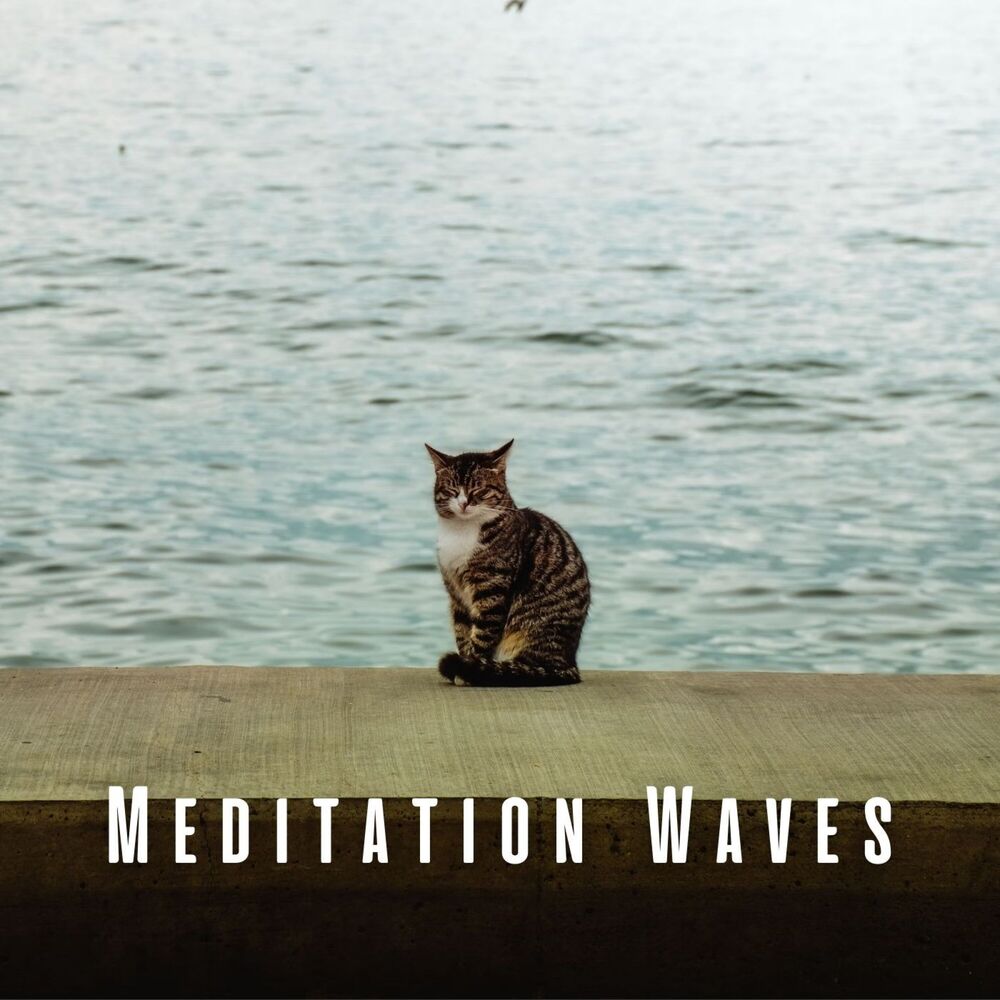Picture of Meditation Waves: Ocean Souds for Soothing Cats
