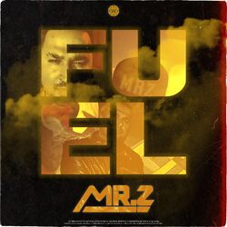 Cover of FUEL