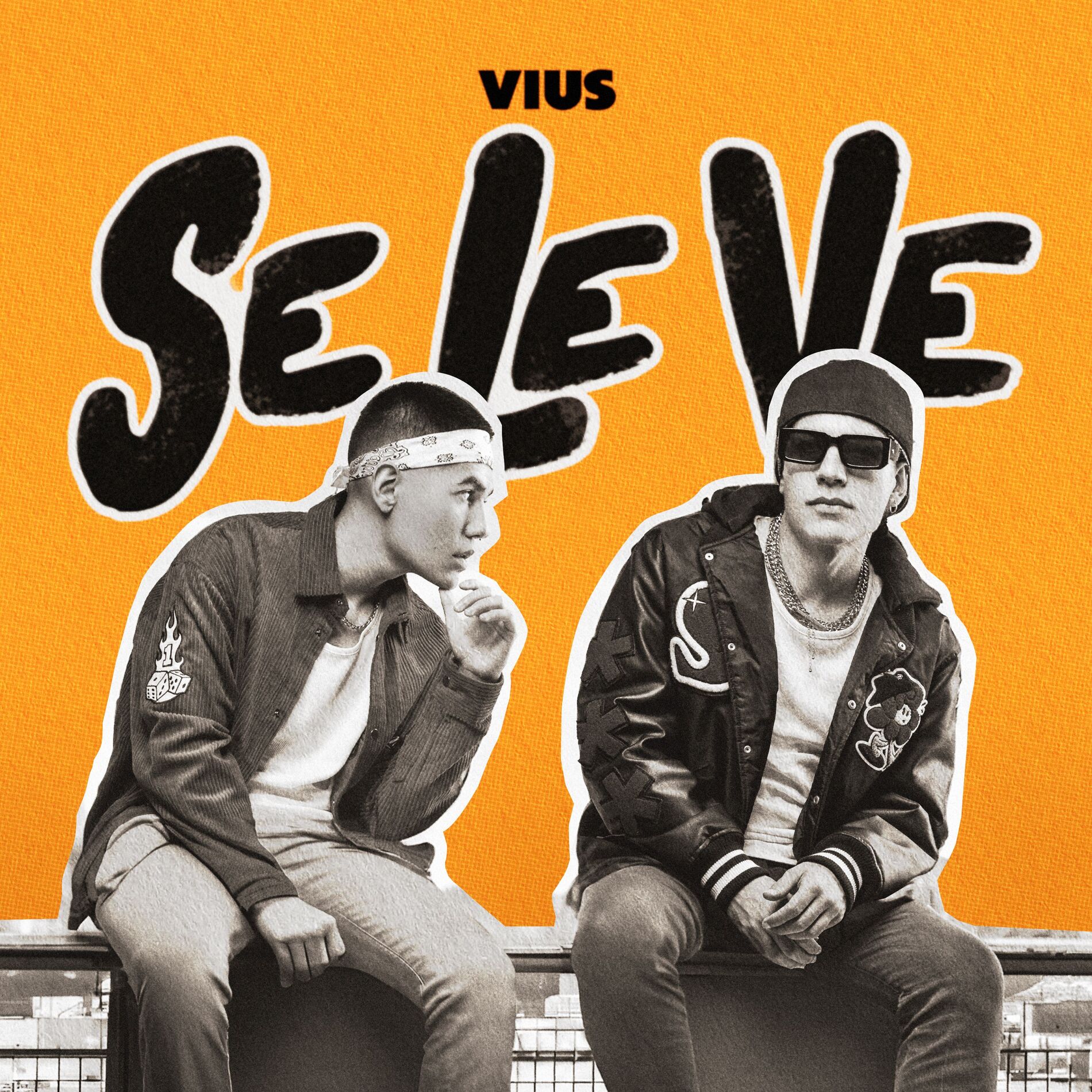 Album cover of SE LE VE