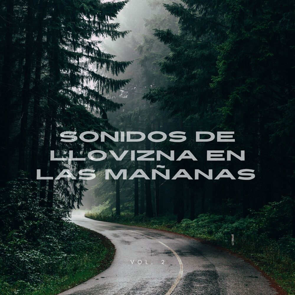 Picture of Sonidos de Llovizna en las Mañanas Vol.2