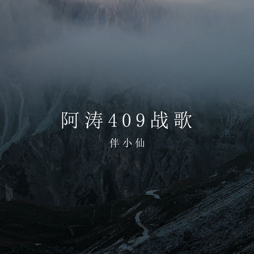阿涛409战歌