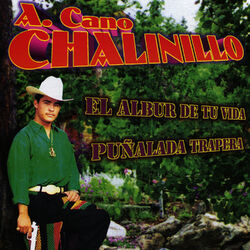Cover of El Albur de Tu Vida