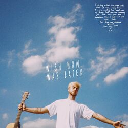 Cover of Wish Now Was Later