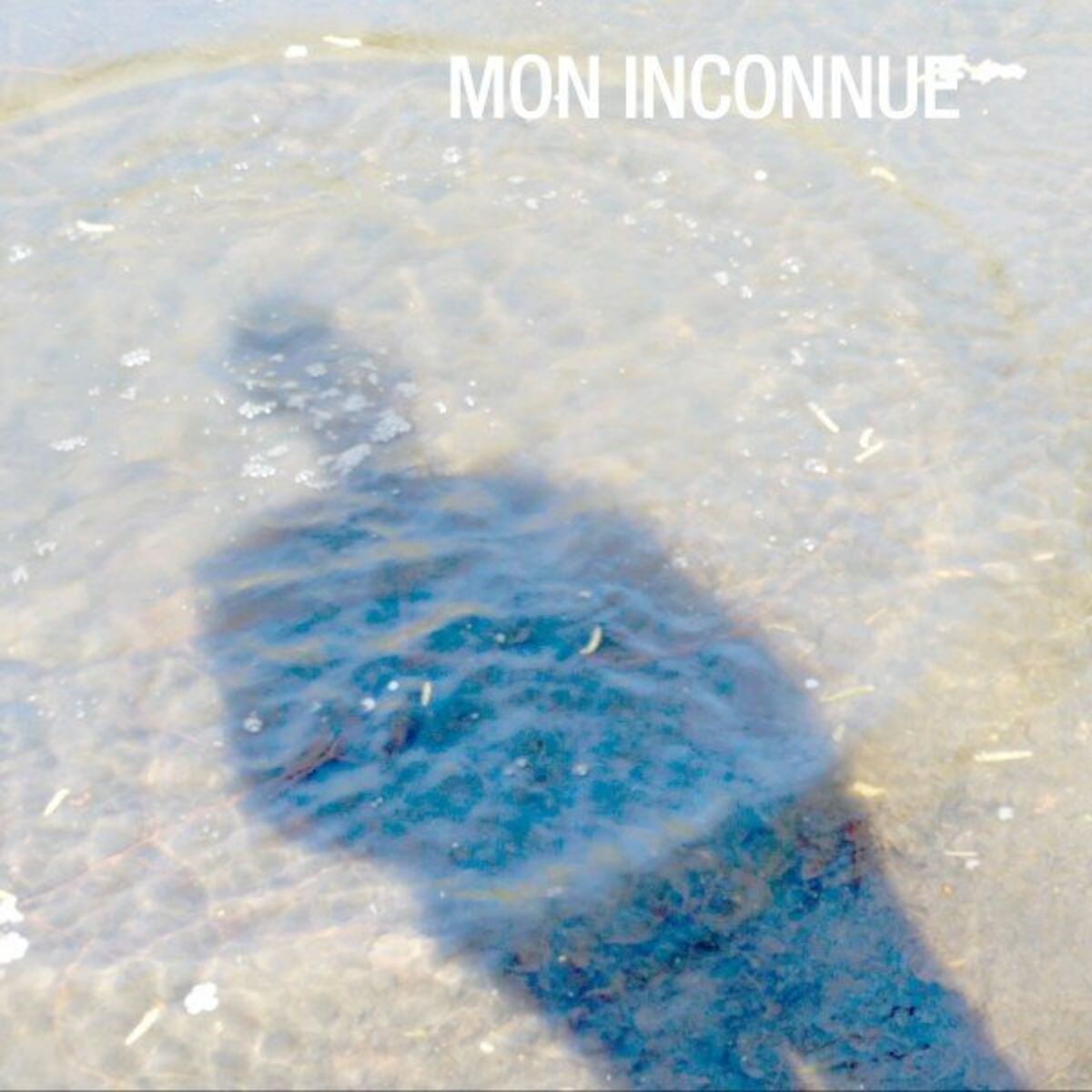 Album cover of Mon Inconnue (2015)