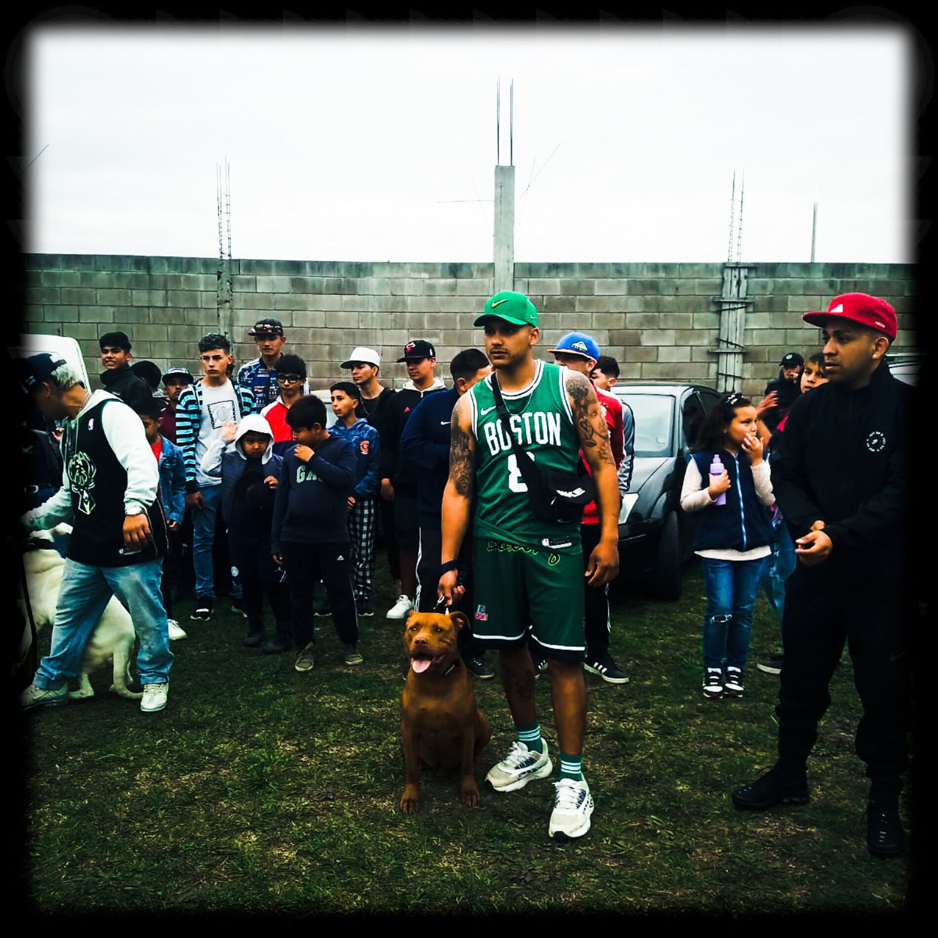 Album cover of pa´ que la gata baile