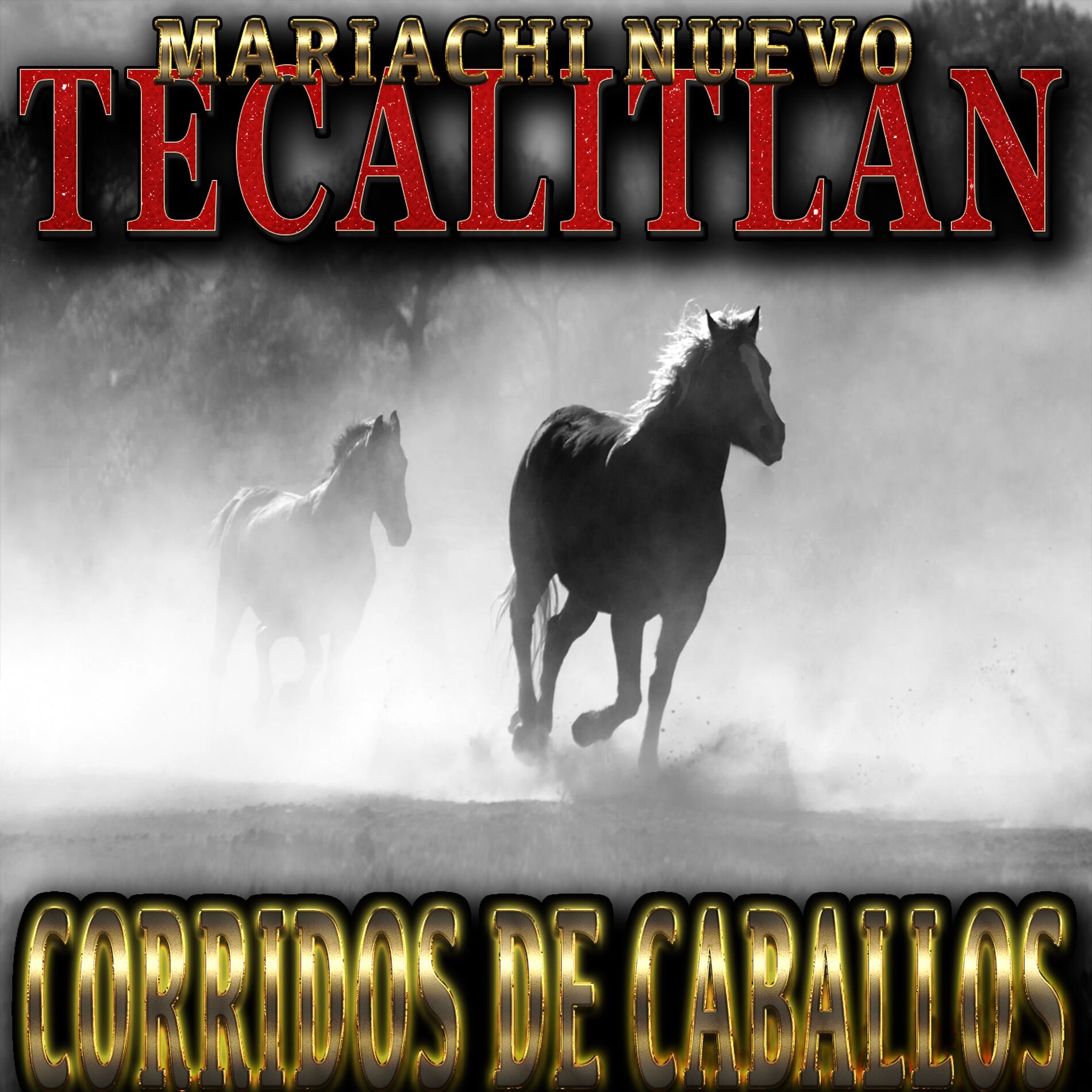 Album cover of Corridos de Caballos