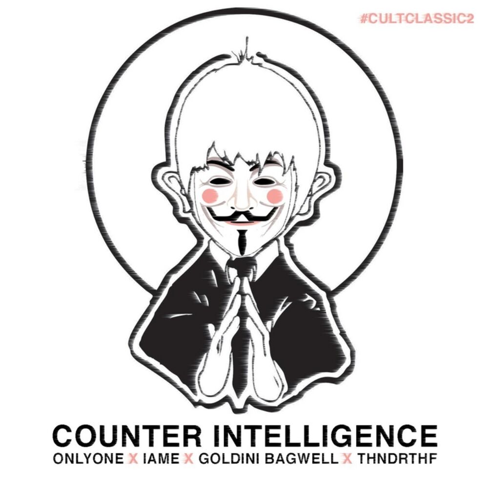 Picture of Counter Intelligence
