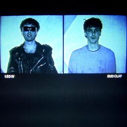 Cover of BACK TO THE LOONY BIN
