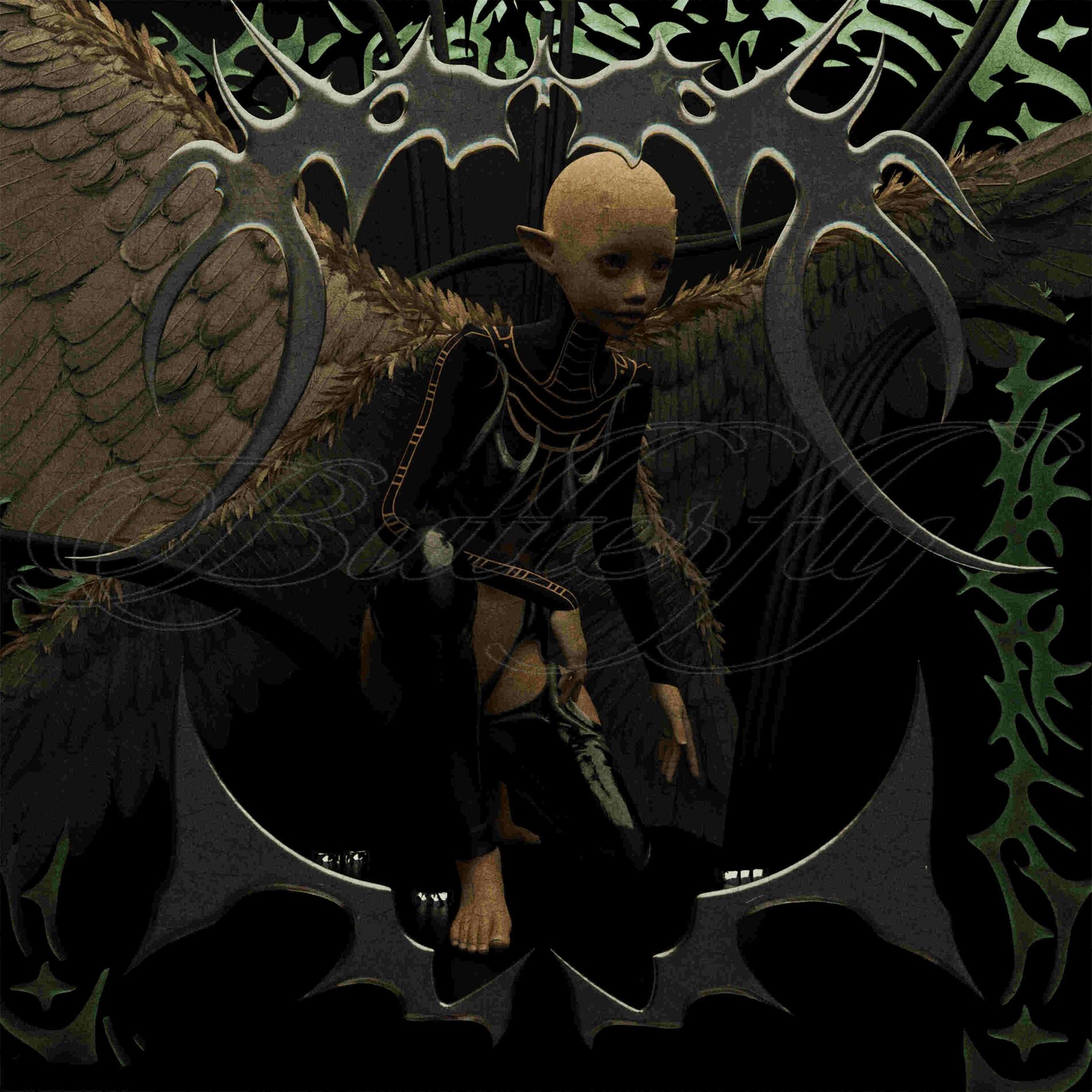 Album cover of Butterfly