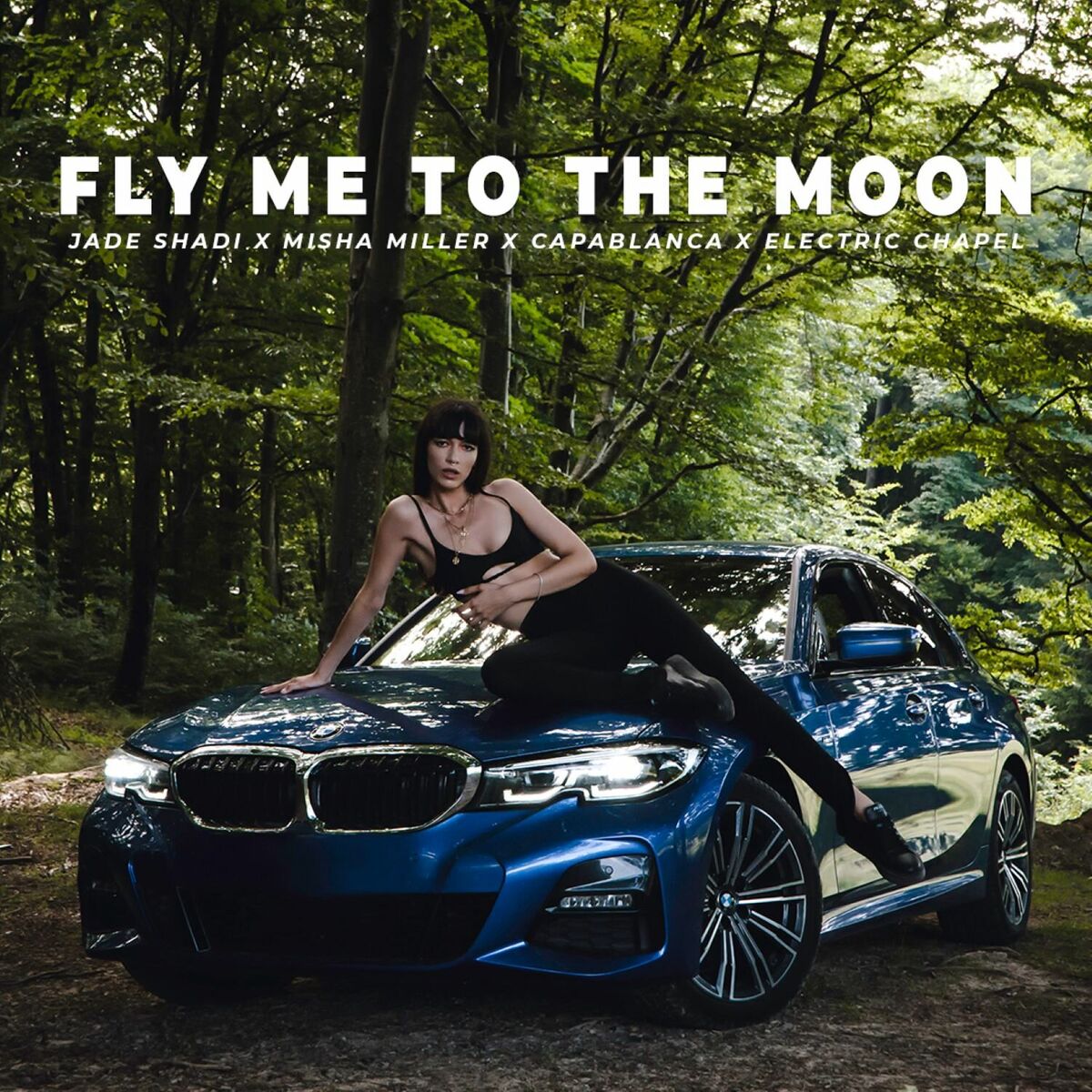 Album cover of Fly Me To The Moon