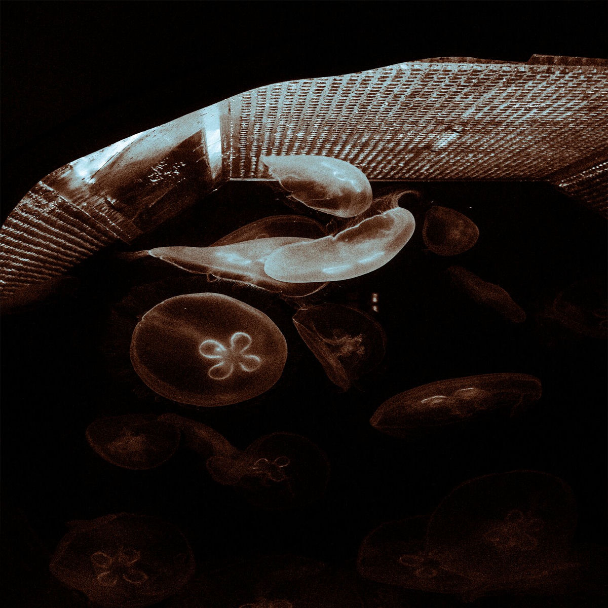 Album cover of Бесконечная любовь