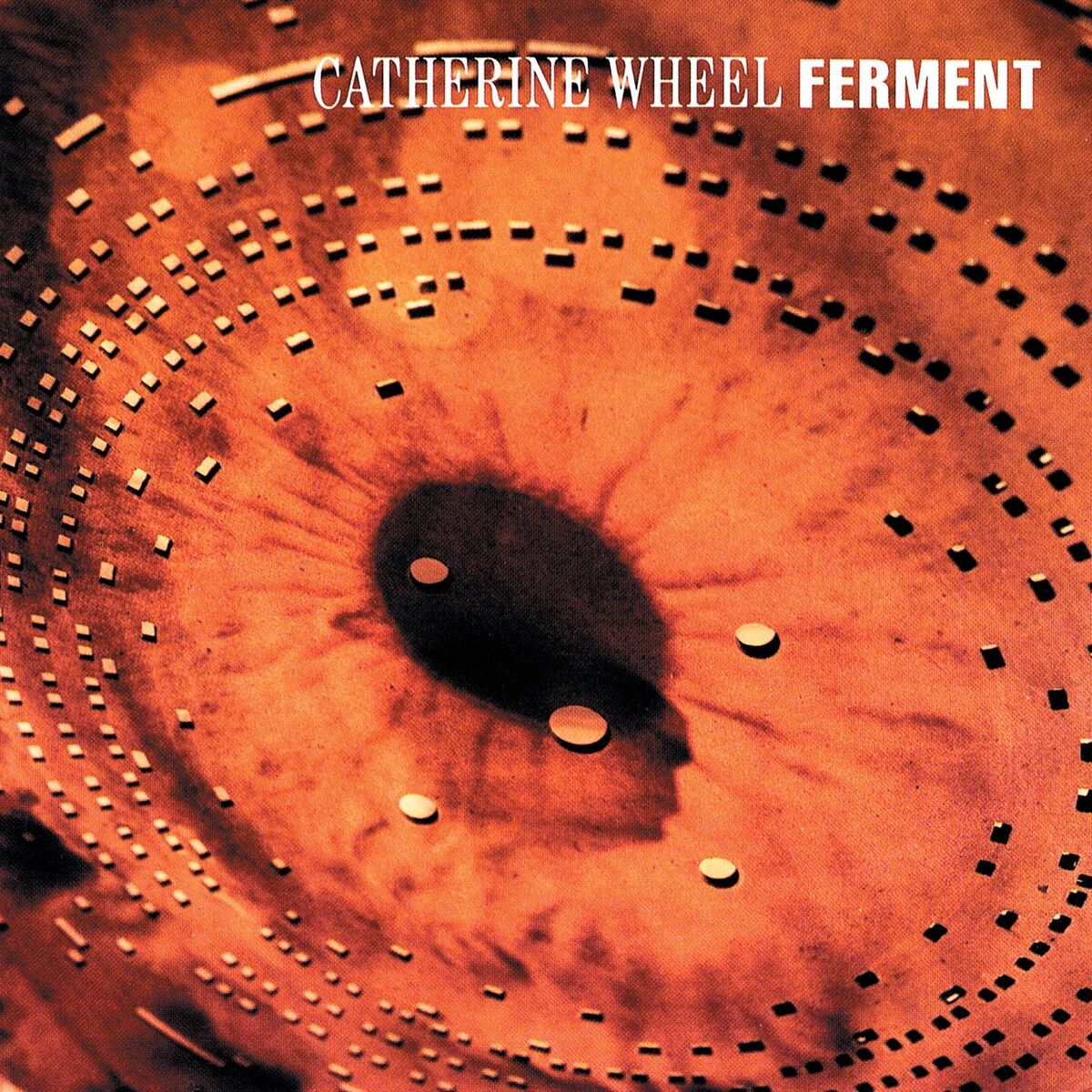 Album cover of I Want To Touch You