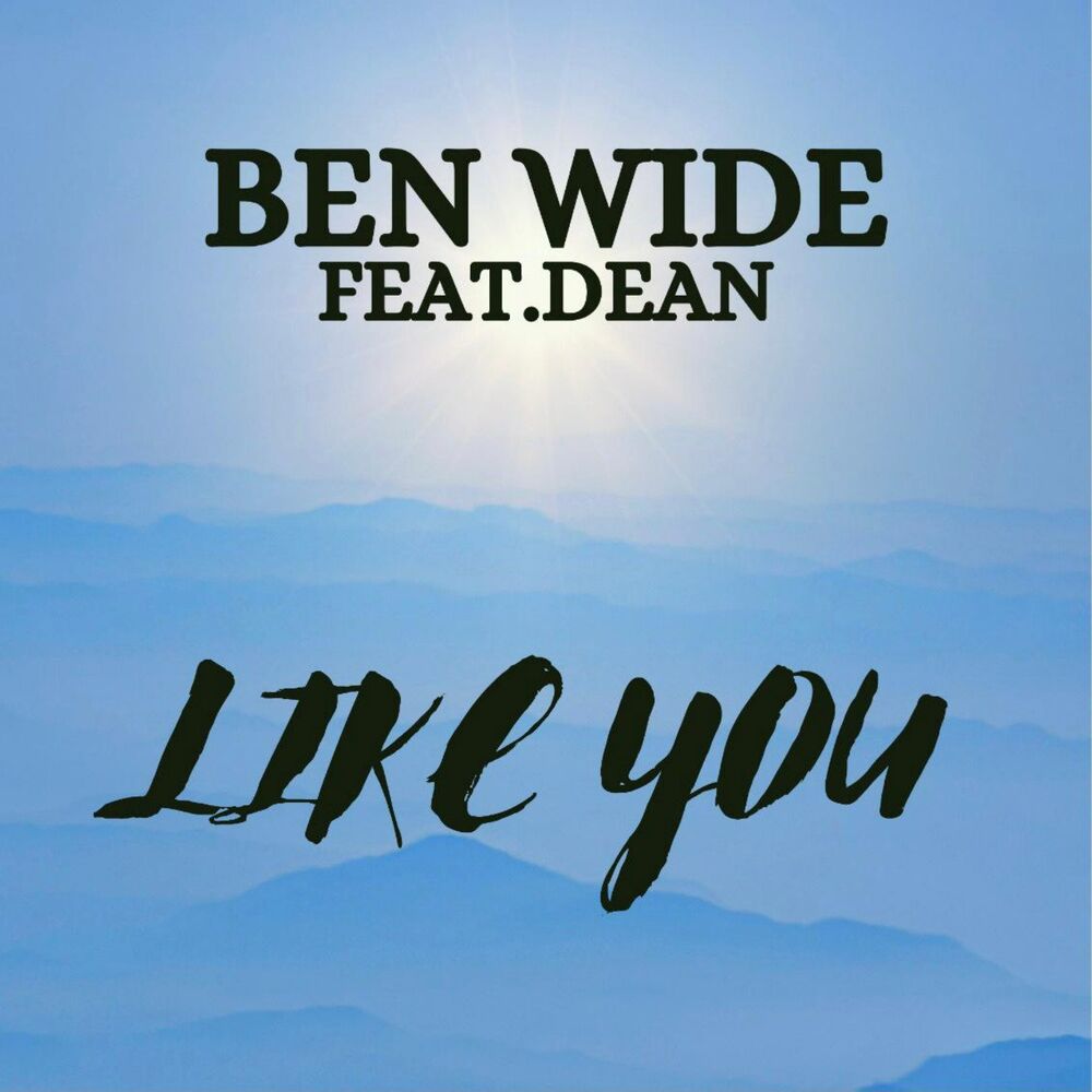 Picture of Like You