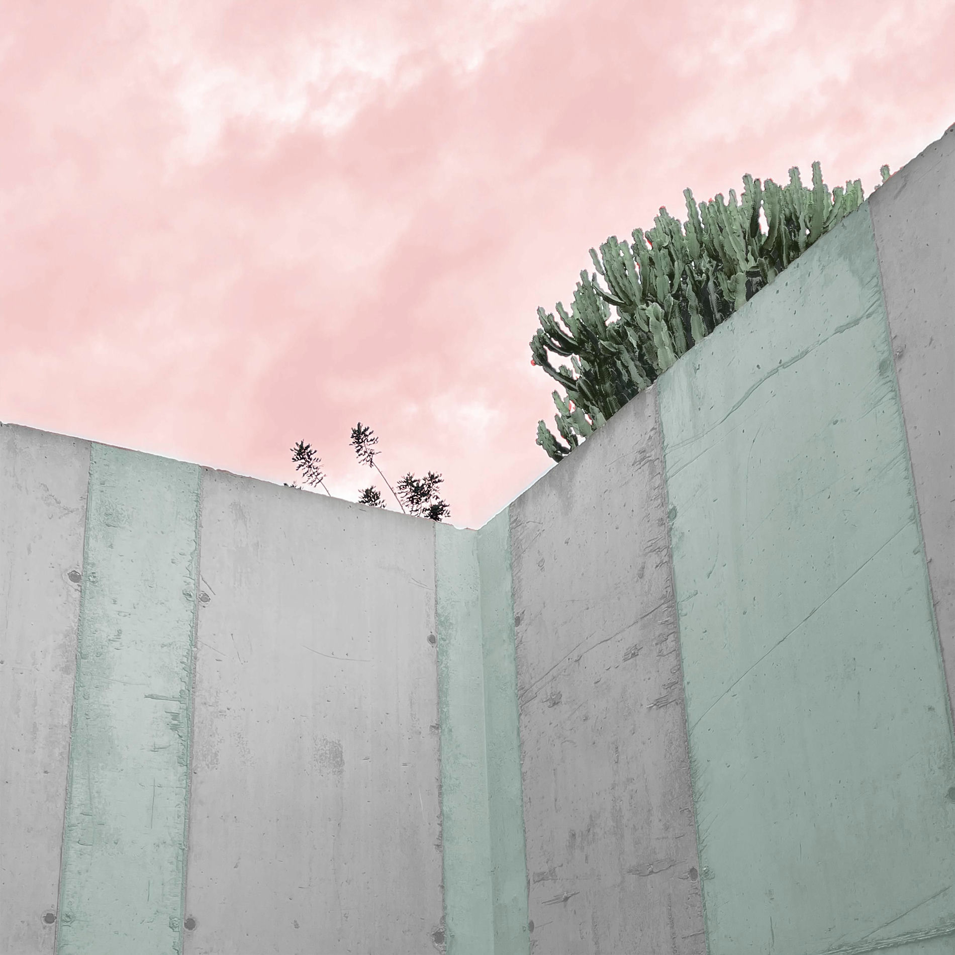 Album cover of Ecdisis