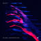 Disappear (Gorge & Nick Curly Remix Mixed) by Yulia Niko album cover