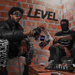Cover of Level